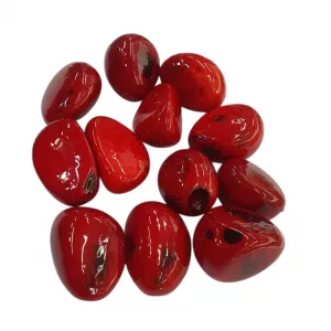 Semillas De Tagua Roja 1 Libra