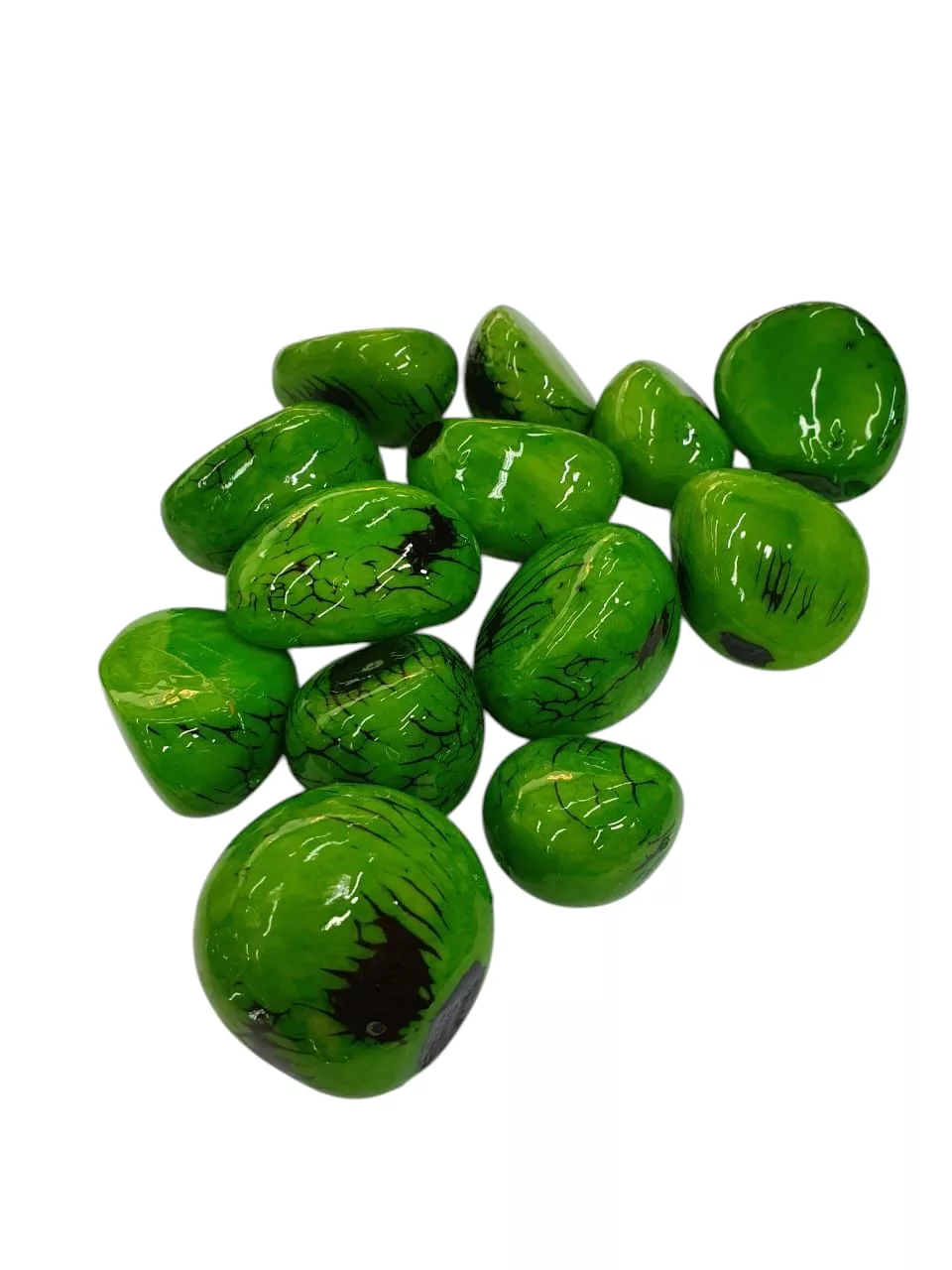 Semillas De Tagua 4 Libras Variadas - Imagen 3