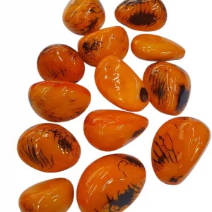 Semillas De Tagua Naranjada 1 Libra