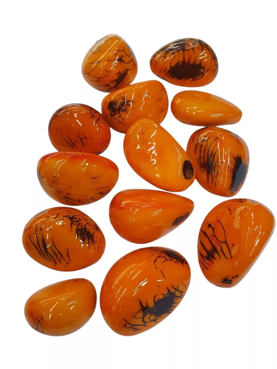Semillas De Tagua Naranjada 1 Libra